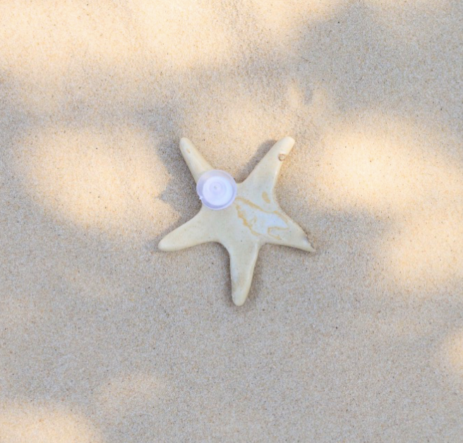 Brincos Estrela Marfim